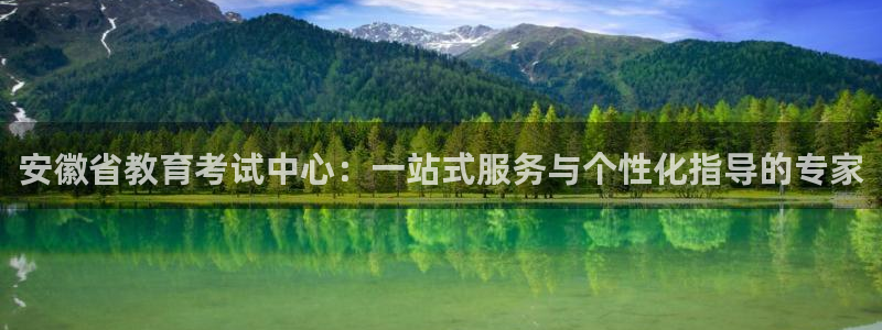 新宝5软件下载