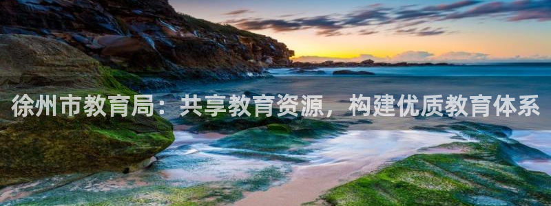 新宝5安卓版
