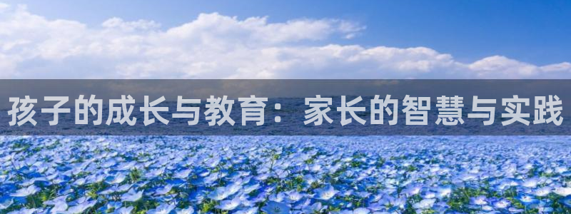 新宝5注册登录