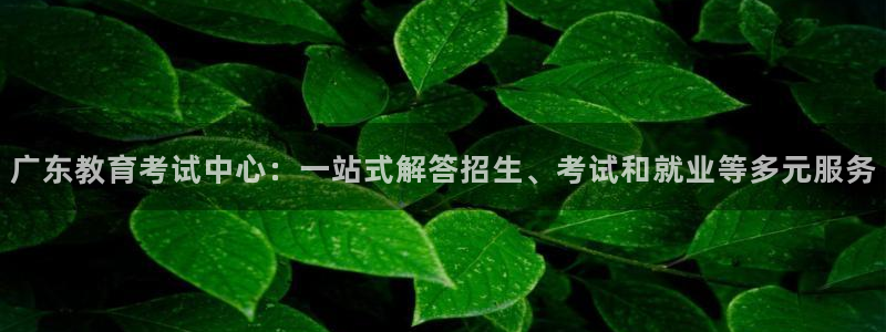 新宝股东王听2 5 5