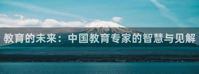 新宝5app手机下载