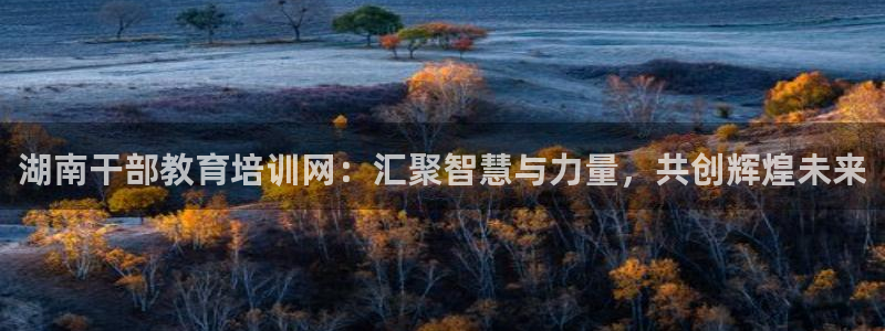 股票5G宝新