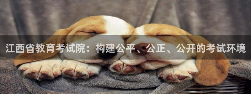新宝5app手机下载