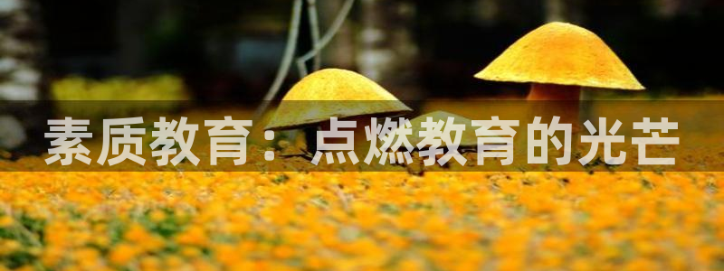 新宝5官网67五壹叁八