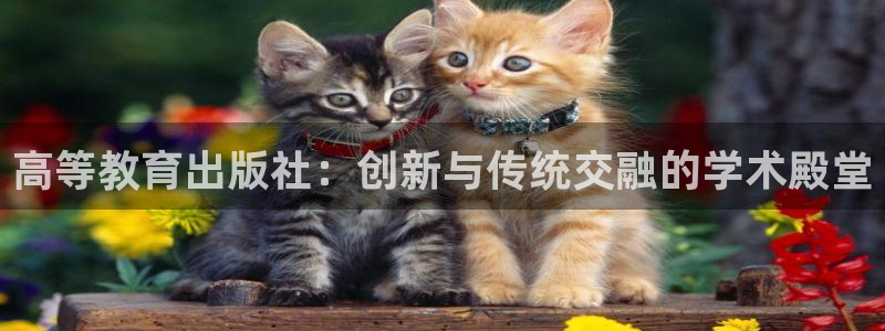 有人知道新宝5么
