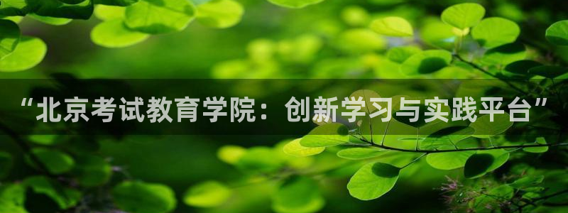 新宝5娱乐多