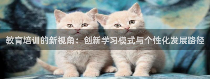 新宝5网