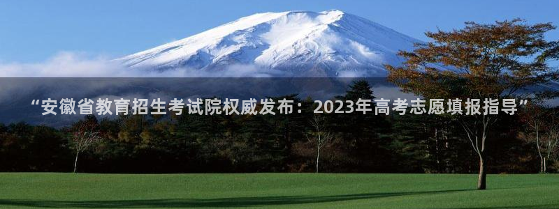 新宝5下载软件