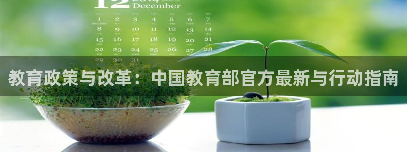 新宝股东张听2 5 5