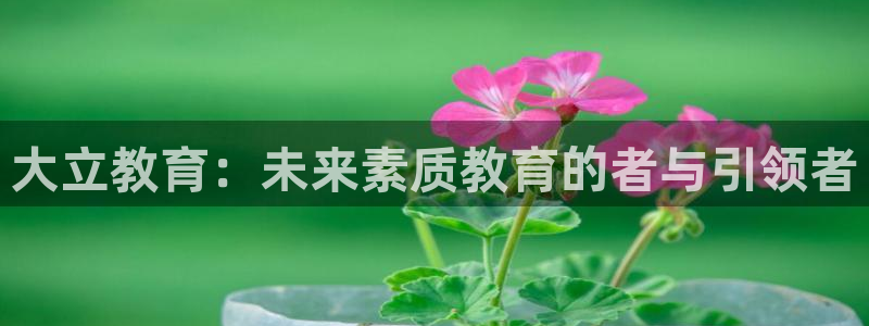 新宝5平棋牌