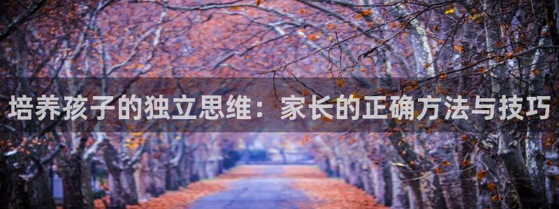 新宝5总代