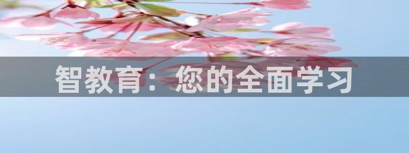 新宝 5测速