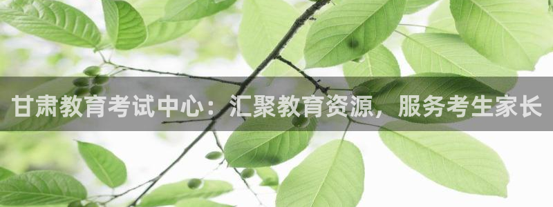 新宝5秒开