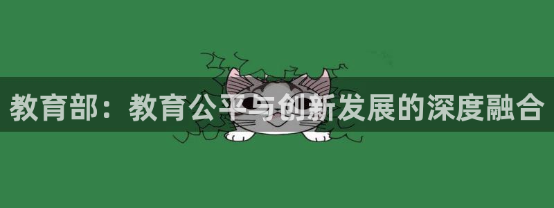 新宝5公司