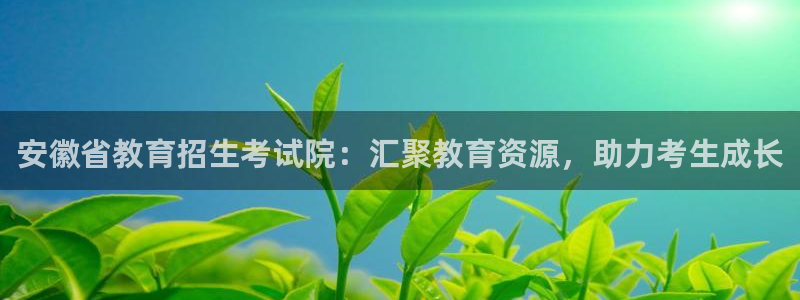 新宝5官网