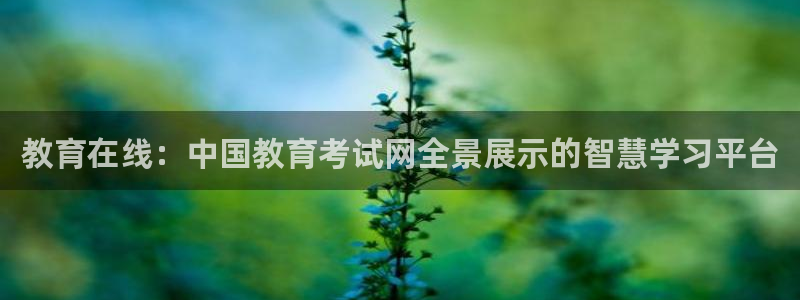 新宝5娱乐代理