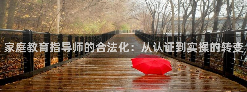 新宝5彩票平台登陆