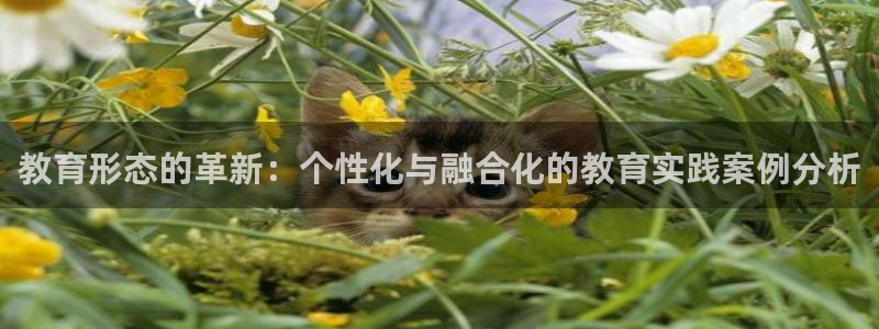 新宝5公司
