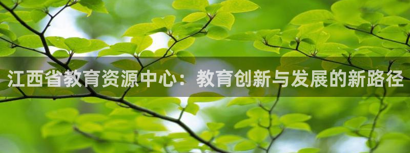 有人知道新宝5么