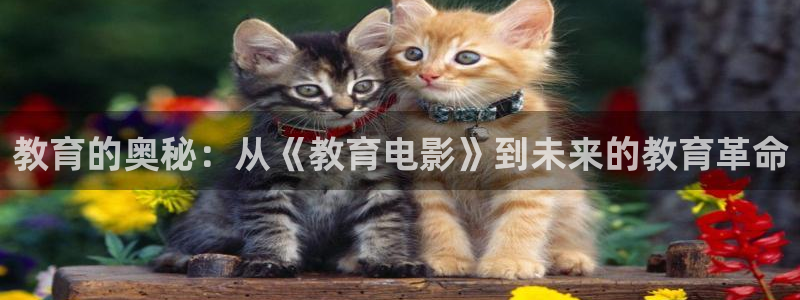 新宝5下载到桌面