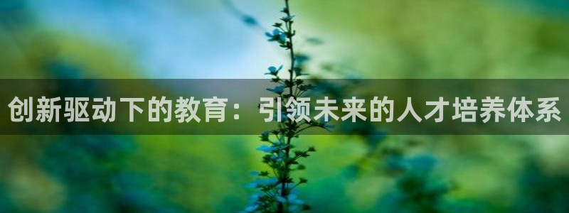 新宝5招商部