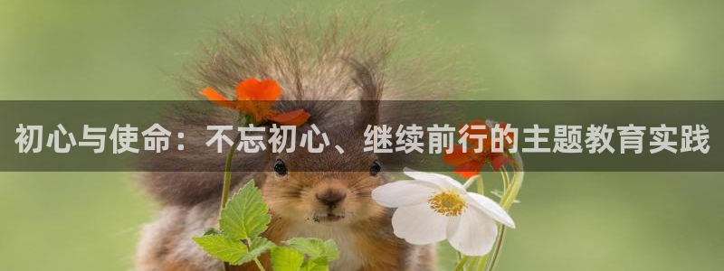 新宝5什么时候上市