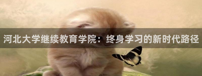 新宝5 - 测速登陆