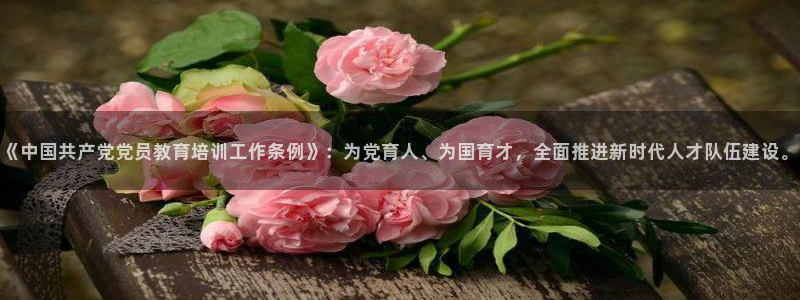 新宝5苹果手机下载