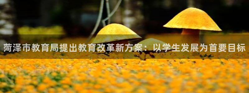 新宝5娱乐主管