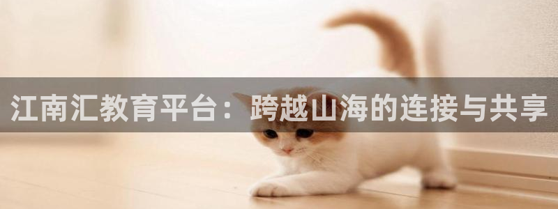 新宝5策略