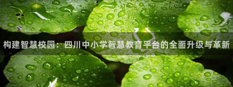 新宝5现在还能玩吗