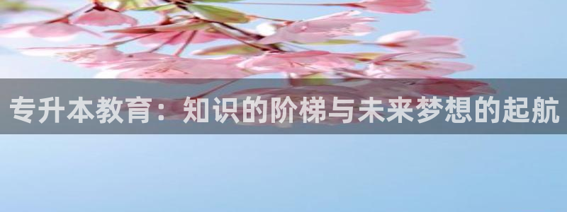 新宝股东张听2 5 5