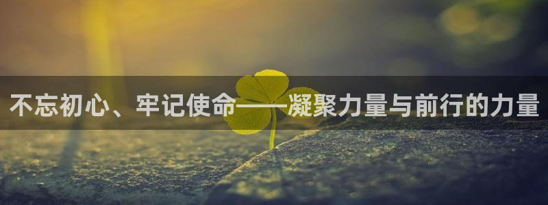 新宝5开好