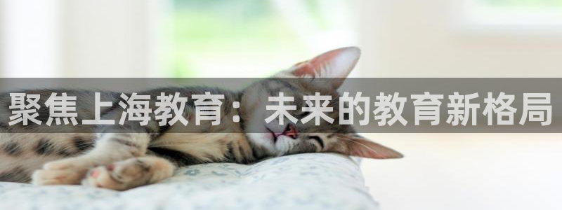新宝5彩票娱乐平台