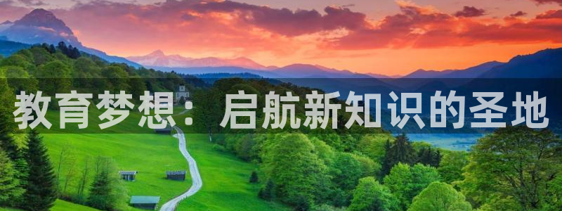 新宝5是谁的