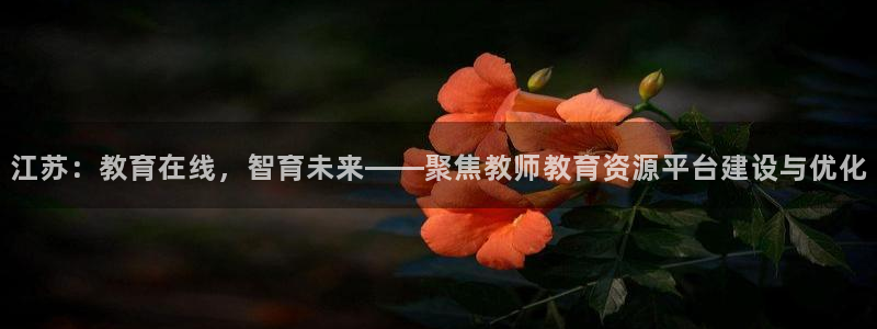 新宝5手机app