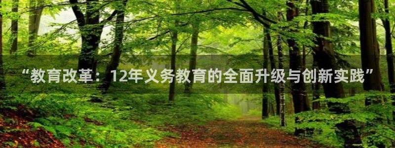 新宝5是什么样子的