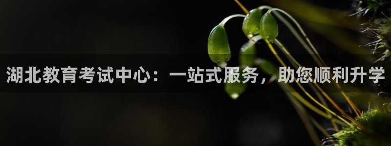 新宝5官网霸