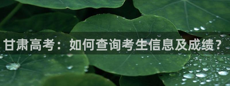 新宝5娱乐登陆