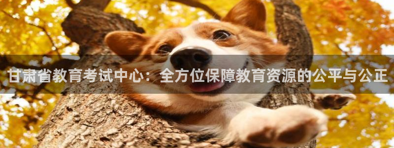 新宝5代理