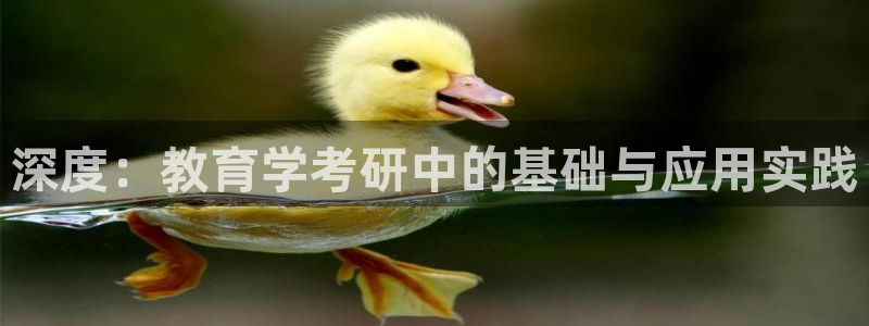 新宝股东张听2 5 5