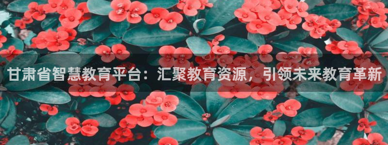 新宝5软件下载