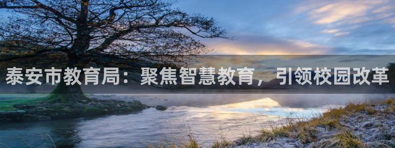 股票5G宝新