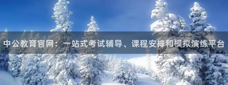 新宝5代理