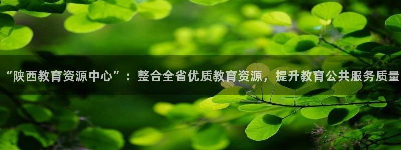 新宝5网