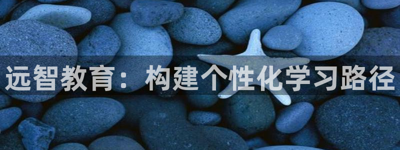 新宝5怎么代理