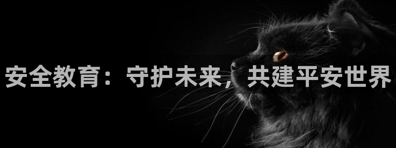 新宝b2O5O5O