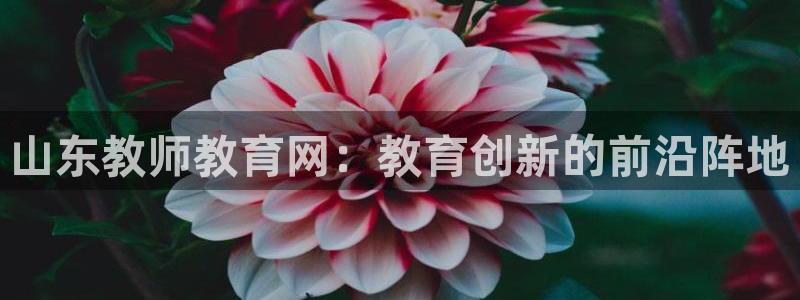 新宝5招商