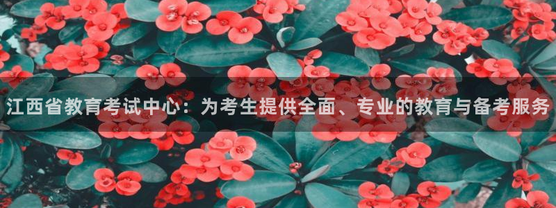 新宝5app手机下载