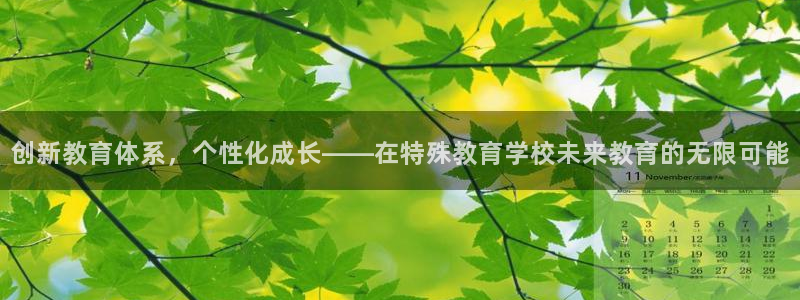 新宝5招商部